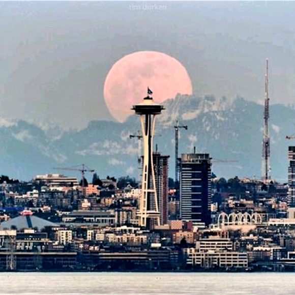 Meet your Posher, Horus - Picture 3 of 5